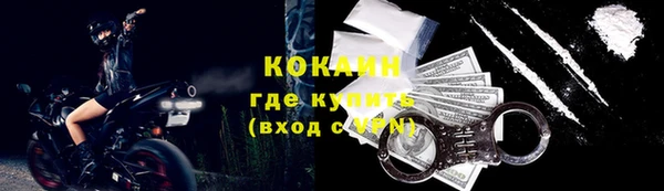 кокс Бородино