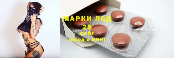 гидра Верхний Тагил