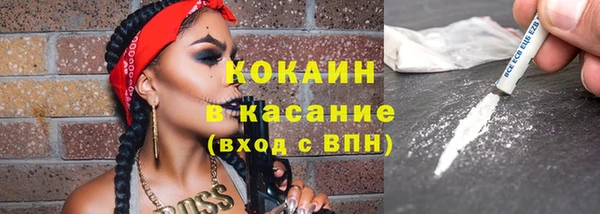 гидра Верхний Тагил