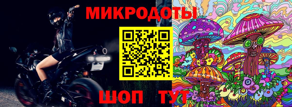 Псилоцибиновые грибы Psilocybe Обь