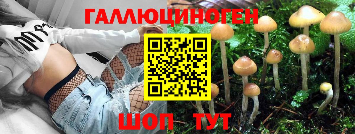 Галлюциногенные грибы мухоморы  Вход с VPN  Обь 