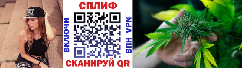 Конопля Amnesia  Обь 